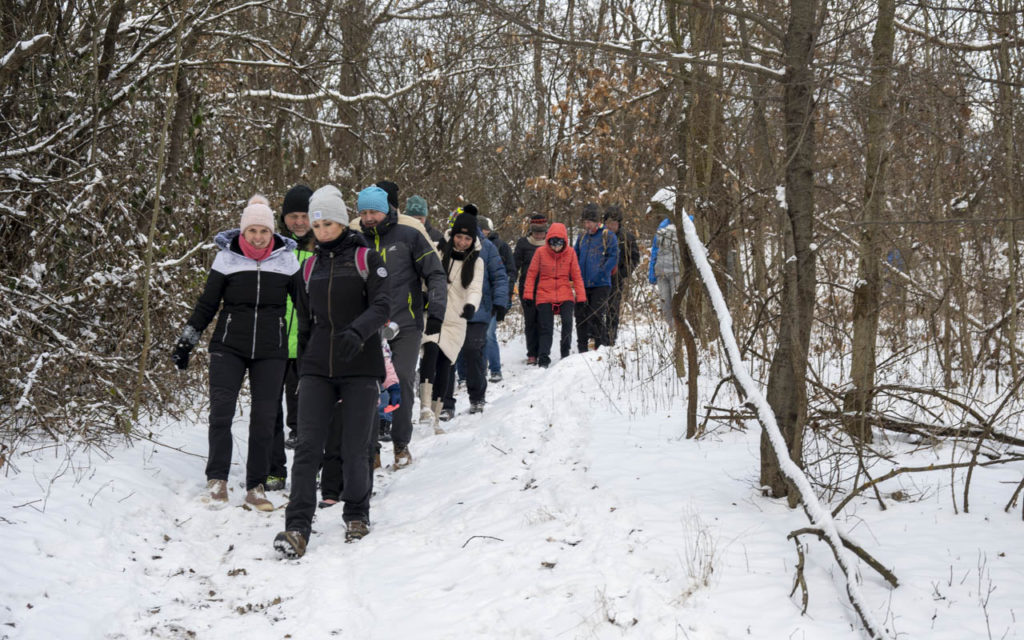 26-01-10 Prochazka-0544