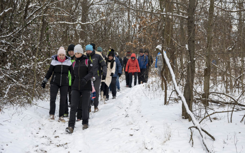 26-01-10 Prochazka-0544