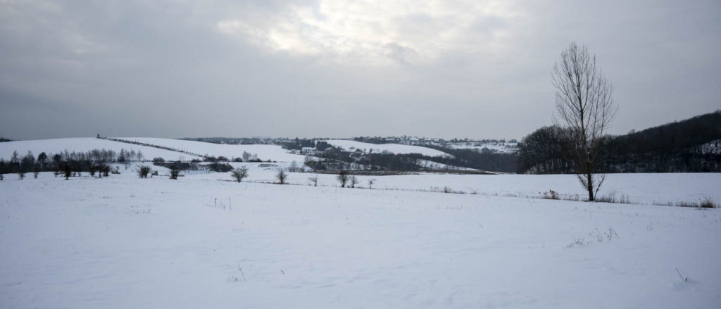 26-01-10 Prochazka-0552