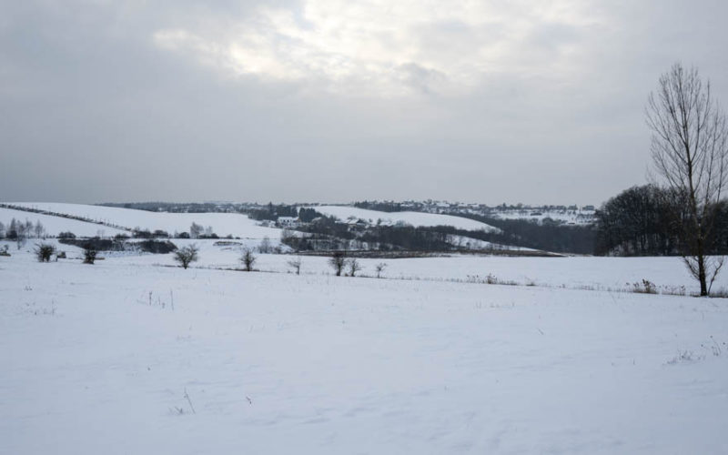 26-01-10 Prochazka-0552