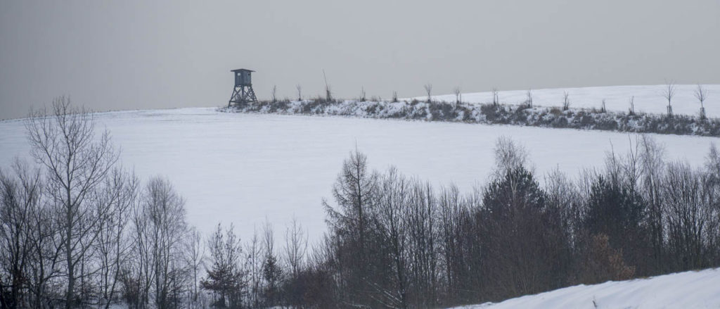 26-01-10 Prochazka-0648