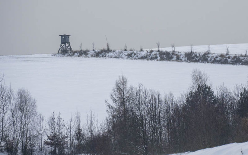 26-01-10 Prochazka-0648