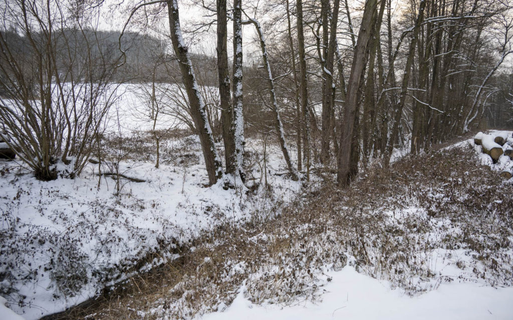 26-01-10 Prochazka-0673