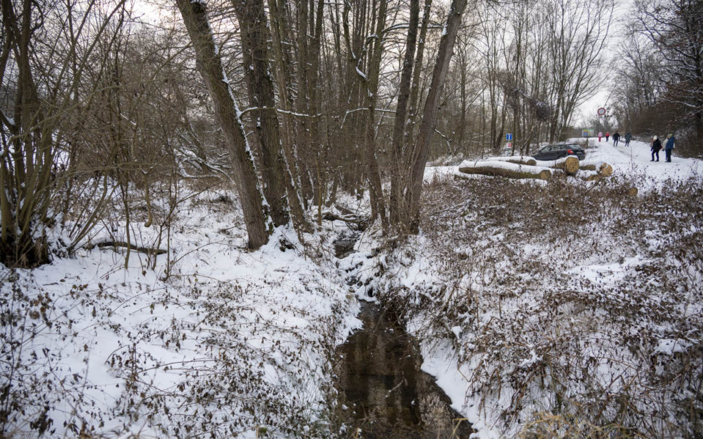 26-01-10 Prochazka-0679
