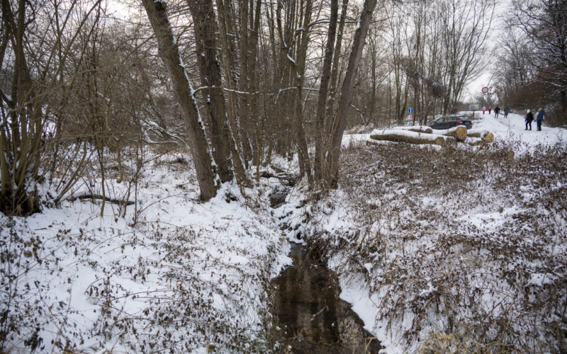 26-01-10 Prochazka-0679