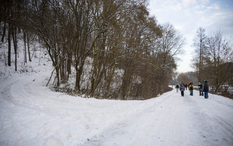 26-01-10 Prochazka-0688