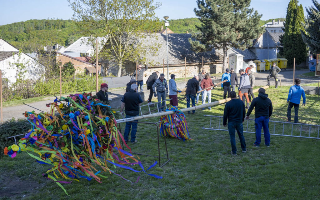 26-04-30 Majka-NEF_0669